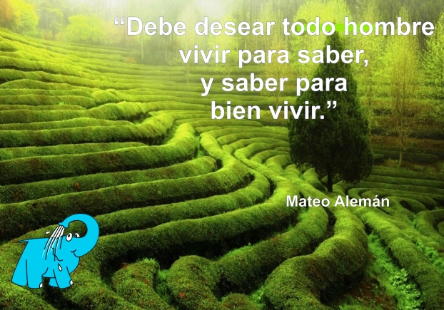 Una Enseñaza de Mateo Alemán en la Frase del Dia del Elefante Azul de Avilés